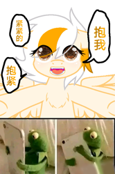 Size: 523x790 | Tagged: safe, oc, pegasus, pony, chinese, kermit the frog, male, phone