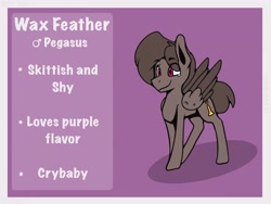 Size: 2102x1584 | Tagged: safe, artist:wax feather, oc, oc only, oc:wax feather, pegasus, pony, male, pegasus oc, reference sheet, stallion