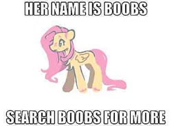 Size: 400x295 | Tagged: safe, artist:onionpwder, fluttershy, pegasus, pony, g4, blatant lies, caption, chest fluff, image macro, meme, simple background, solo, text, white background