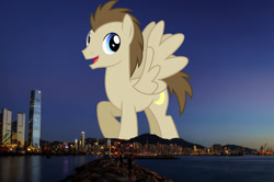 Size: 2048x1361 | Tagged: safe, anonymous editor, artist:chainchomp2 edits, edit, crescent pony, mane moon, pegasus, pony, g4, background pony, giant pegasus, giant pony, highrise ponies, hong kong, irl, macro, male, mega giant, photo, ponies in real life, solo, spread wings, stallion, wings