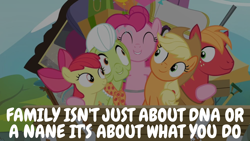 Size: 1920x1080 | Tagged: safe, edit, edited screencap, editor:quoterific, screencap, apple bloom, applejack, big macintosh, granny smith, pinkie pie, earth pony, pony, g4, pinkie apple pie, doctor who, male, stallion