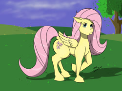 Size: 2000x1500 | Tagged: safe, artist:sailoranna, fluttershy, pegasus, pony, g4, female, looking at you, mare, outdoors, solo