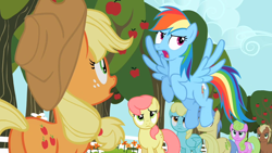 Size: 1280x720 | Tagged: safe, screencap, applejack, daisy, flower wishes, gala appleby, goldengrape, meadow song, rainbow dash, sassaflash, sir colton vines iii, earth pony, pegasus, pony, g4, the super speedy cider squeezy 6000, apple, apple family member, apple tree, applebutt, butt, female, fence, mare, plot, tree