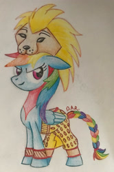 Size: 1995x3005 | Tagged: safe, artist:gracefulart693, rainbow dash, big cat, lion, pegasus, pony, g4, braid, braided tail, clothes, costume, eyelashes, female, hat, mare, simba, solo, tail, traditional art, wings