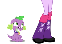 Size: 948x684 | Tagged: safe, spike, twilight sparkle, dog, human, equestria girls, g4, boots shot, clothes, cropped, duo, legs, pictures of legs, shoes, simple background, spike the dog, white background