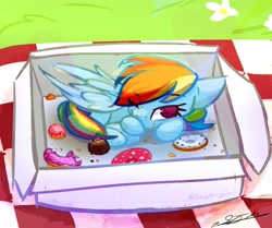 Size: 2893x2421 | Tagged: safe, artist:staceyld636, rainbow dash, pegasus, pony, g4, box, crumbs, curled up, donut, female, flower, food, grass, high res, mare, one eye closed, picnic, picnic blanket, pony in a box, sleepy, solo