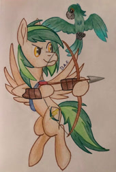 Size: 1352x1990 | Tagged: safe, artist:gracefulart693, oc, oc only, bird, parrot, pegasus, pony, arrow, bow (weapon), bow and arrow, duo, hoof hold, male, pegasus oc, smiling, smirk, stallion, traditional art, weapon, wings