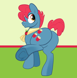 Size: 944x947 | Tagged: safe, alternate version, artist:pandadox, apple split, earth pony, pony, g4, apple family member, butt, featureless crotch, hooves, male, plot, raised leg, solo, stallion, underhoof