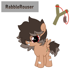 Size: 676x676 | Tagged: safe, artist:cdv, derpibooru exclusive, oc, oc only, oc:rabble rouser, pegasus, pony, female, filly, foal, reference sheet, simple background, solo, white background