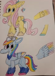 Size: 2806x3876 | Tagged: safe, artist:mintwhistle, fluttershy, rainbow dash, butterfly, pegasus, pony, g4, g5, aviator goggles, bandana, bow, coat markings, colored wings, crayon drawing, duo, duo female, feathered fetlocks, female, flower, flower in hair, g4 to g5, generation leap, goggles, high res, hoof shoes, looking back, mare, missing cutie mark, multicolored wings, redesign, sketchbook, smiling, spread wings, tail, tail bow, traditional art, unshorn fetlocks, wings