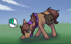 Size: 1280x800 | Tagged: safe, artist:sinclair2013, oc, oc only, pony, bag, clothes, grass, male, saddle bag, scarf, solo, stallion