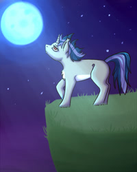 Size: 2000x2500 | Tagged: safe, artist:lunnakoska, oc, oc only, oc:dreaming star, bat pony, bat pony unicorn, hybrid, pony, unicorn, bat pony oc, chest fluff, commission, fangs, grass, high res, horn, looking up, male, moon, moonlight, night, night sky, outdoors, pale belly, red eyes, sky, solo, stallion, white belly, ych result