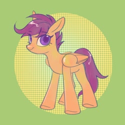 Size: 1500x1500 | Tagged: safe, artist:luanshanhun, scootaloo, pegasus, pony, g4, female, solo