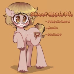 Size: 2048x2048 | Tagged: safe, artist:maririwis, oc, oc only, oc:sweet apple pie, earth pony, pony, high res, looking at you, male, orange background, raised hoof, simple background, solo, spanish, stallion, unshorn fetlocks