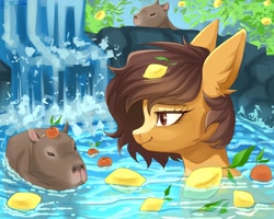 Size: 2048x1638 | Tagged: safe, artist:fixhiara1, oc, oc only, capybara, pony, bathing, commission, ear fluff, female, food, lemon, signature, water, waterfall