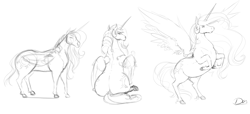 Size: 3786x1727 | Tagged: safe, artist:thelunarmoon, princess celestia, alicorn, pony, g4, doodle, hoers, rearing, sketch