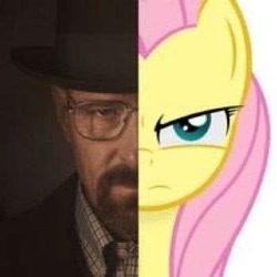 Size: 350x350 | Tagged: safe, artist:godoffury, edit, fluttershy, human, pegasus, pony, g4, angry, breaking bad, facial hair, female, glasses, goatee, hat, looking at you, male, mare, walter white