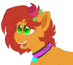 Size: 5288x4739 | Tagged: safe, artist:crazysketch101, oc, oc only, oc:kale triton, earth pony, pony, collar, flower, looking up, rose, simple background, smiling, solo, transparent background