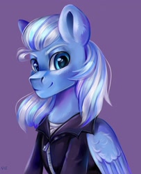 Size: 3000x3700 | Tagged: safe, artist:ske, oc, oc only, pegasus, pony, clothes, high res, jacket, looking at you, solo