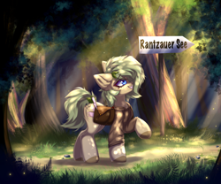 Size: 3000x2500 | Tagged: safe, artist:mysha, oc, oc only, oc:nettle vienna, earth pony, pony, bag, clothes, crepuscular rays, earth pony oc, female, forest, high res, jacket, mare, sign, solo