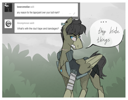 Size: 1280x1002 | Tagged: safe, artist:thevixvix, oc, oc only, oc:cassio, pegasus, pony, ask, bandage, solo, tumblr