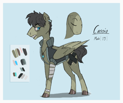 Size: 1280x1073 | Tagged: safe, artist:thevixvix, oc, oc only, oc:cassio, pegasus, pony, bandage, bracelet, jewelry, male, necklace, reference sheet, solo, stallion