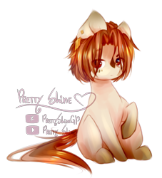 Size: 2021x2230 | Tagged: safe, artist:prettyshinegp, oc, oc only, earth pony, pony, earth pony oc, high res, male, raised hoof, simple background, solo, stallion, transparent background