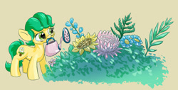 Size: 1280x651 | Tagged: safe, artist:lytlethelemur, oc, earth pony, pony, earth pony oc, female, flower, mouth hold, watering can