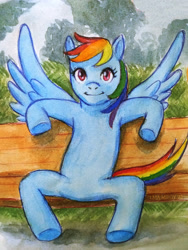 Size: 1800x2400 | Tagged: safe, artist:alexyorim, derpibooru exclusive, rainbow dash, g4, anatomically incorrect, ashleigh ball, ballpoint pen, bench, bench tails, incorrect leg anatomy, pose reference, traditional art, watercolor painting