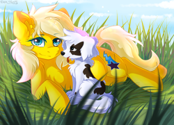 Size: 2560x1840 | Tagged: safe, artist:yuris, oc, oc only, oc:lightning star, dog, earth pony, pony, animal, chest fluff, cloud, day, duo, ears up, field, grass, lying down, puppy, sky, smiling, trade