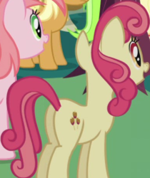Size: 389x463 | Tagged: safe, screencap, apple bumpkin, earth pony, pony, friendship is magic, g4, apple family member, background character, background pony, butt, cropped, female, mare, plot, solo focus