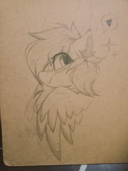 Size: 768x1024 | Tagged: safe, artist:rieyadraws, oc, oc only, oc:jet blast, pegasus, pony, blushing, clipboard, cute, ear fluff, happy, irl, looking at you, partially open wings, photo, smiling, wings