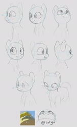 Size: 1588x2632 | Tagged: safe, artist:zippysqrl, pony, bald, bust, face, looking down, looking left, looking right, looking up, open mouth, portrait, reference sheet, simple background, sketch, smiling