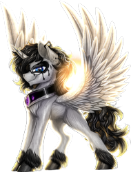 Size: 1560x2057 | Tagged: safe, artist:thatonegib, oc, oc only, oc:noir, alicorn, pony, alicorn oc, glasses, horn, looking at you, smiling, solo, spread wings, unshorn fetlocks, wings