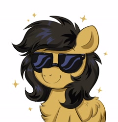 Size: 2781x2883 | Tagged: safe, artist:confetticakez, oc, oc only, pony, chest fluff, female, high res, simple background, solo, sunglasses, white background