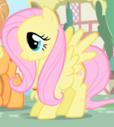 Size: 236x265 | Tagged: safe, screencap, fluttershy, pegasus, pony, g4, cute, screenshots