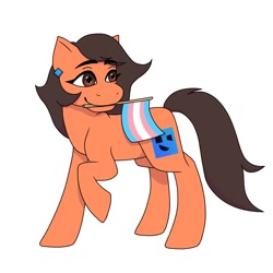 Size: 1024x1024 | Tagged: safe, artist:ghost_raaner, oc, oc:robertapuddin, cute, pride, pride flag, transgender, transgender pride flag