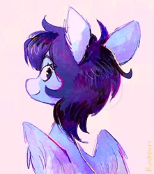 Size: 626x709 | Tagged: safe, artist:lutraviolet, oc, oc only, pegasus, pony