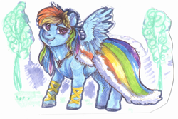 Size: 800x534 | Tagged: safe, artist:temary03, rainbow dash, pegasus, pony, g4, abstract background, clothes, dress, female, gala dress, mare, rainbow dash always dresses in style, simple background, smiling, solo, traditional art, white background