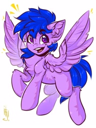 Size: 1200x1600 | Tagged: safe, artist:falafeljake, oc, oc only, pegasus, pony, chest fluff, commission, ear fluff, simple background, solo, white background