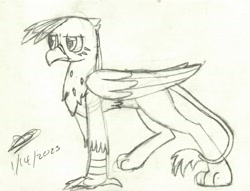 Size: 1562x1191 | Tagged: safe, artist:darthalex70, oc, oc:duskclaw, griffon, fallout equestria:all things unequal (pathfinder), sketch, solo