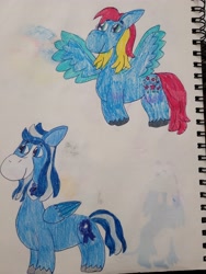 Size: 4032x3024 | Tagged: safe, artist:mintwhistle, derpibooru exclusive, silver glow, thistle whistle, pegasus, pony, g3, g5, alternate cutie mark, bald face, blaze (coat marking), coat markings, colored pencil drawing, duo, duo male and female, facial markings, female, flying, g3 to g5, generation leap, looking left, male, mare, old art, redesign, rule 63, sketchbook, smiling, spread wings, stallion, traditional art, unshorn fetlocks, wings