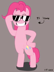 Size: 1458x1915 | Tagged: safe, artist:hightierartist, pinkie pie, earth pony, pony, g4, bipedal, female, grin, simple background, smiling, solo, sunglasses