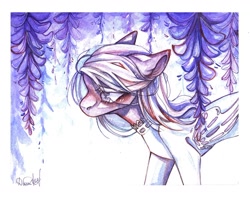 Size: 1280x1015 | Tagged: safe, artist:dorry, oc, oc only, pegasus, pony, clothes, flower, looking down, pegasus oc, signature, simple background, solo, traditional art, watercolor painting, white background