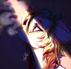 Size: 1212x1171 | Tagged: safe, artist:dorry, oc, oc only, pony, braid, bust, horns, light, looking up, portrait, smoke, smoking, solo