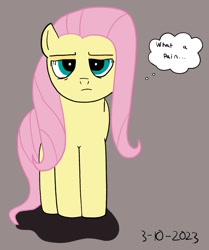 Size: 1050x1254 | Tagged: safe, artist:hightierartist, fluttershy, pegasus, pony, g4, annoyed, female, mare, simple background, solo, thought bubble, unamused