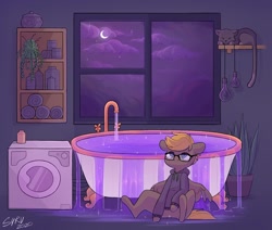 Size: 1280x1084 | Tagged: safe, artist:survya, oc, oc only, cat, pegasus, pony, bath, bathroom, glasses, night, pegasus oc, room, sitting, sitting on floor, sleeping, solo, sparkles, washing machine