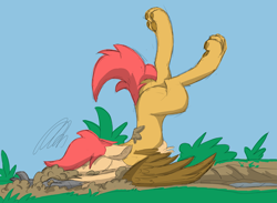Size: 5119x3756 | Tagged: safe, artist:pzkratzer, oc, oc only, oc:ponygriff, hybrid, ponygriff, butt, crash, dirt, faceplant, male, mud, paw pads, paws, plot, sketch, solo, stupid, underpaw