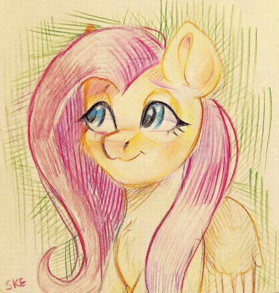 Safe Artist Ske Fluttershy Pegasus Pony G High