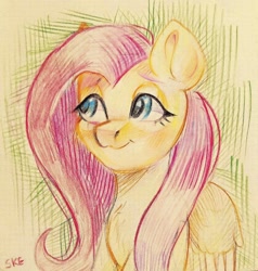 Size: 2058x2160 | Tagged: safe, artist:ske, fluttershy, pegasus, pony, g4, :3, high res, smiling, solo, traditional art